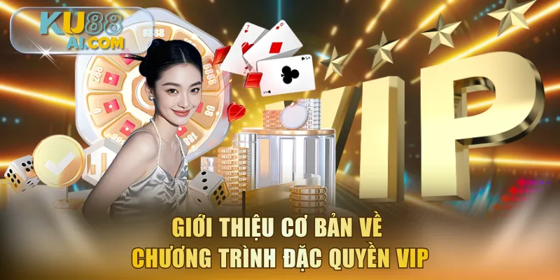 Giới thiệu cơ bản về chương trình đặc quyền VIP